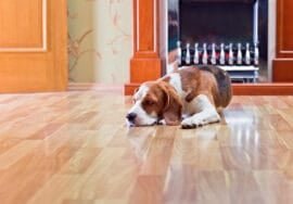 Hardwood Flooring Store in Houston, TX