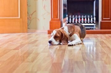 Hardwood Flooring Store in Houston, TX