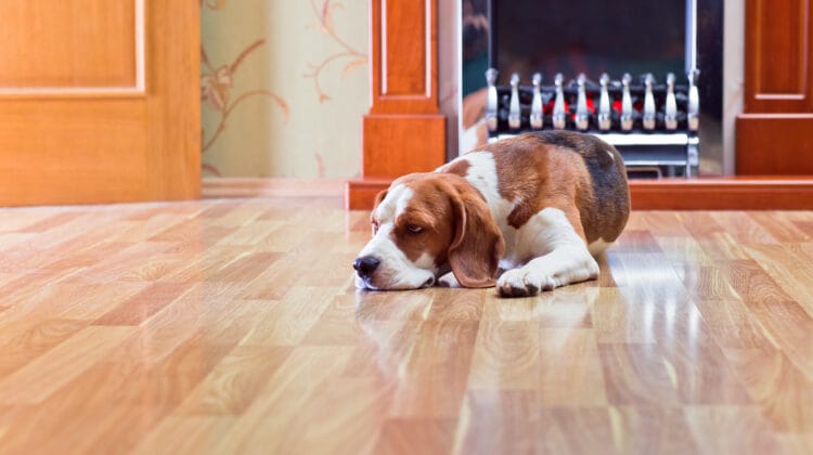 Hardwood Flooring Store in Houston, TX