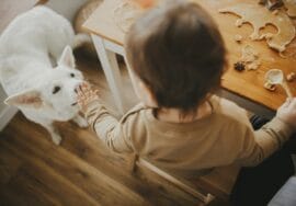 Kid and Pet Friendly Flooring Houston TX